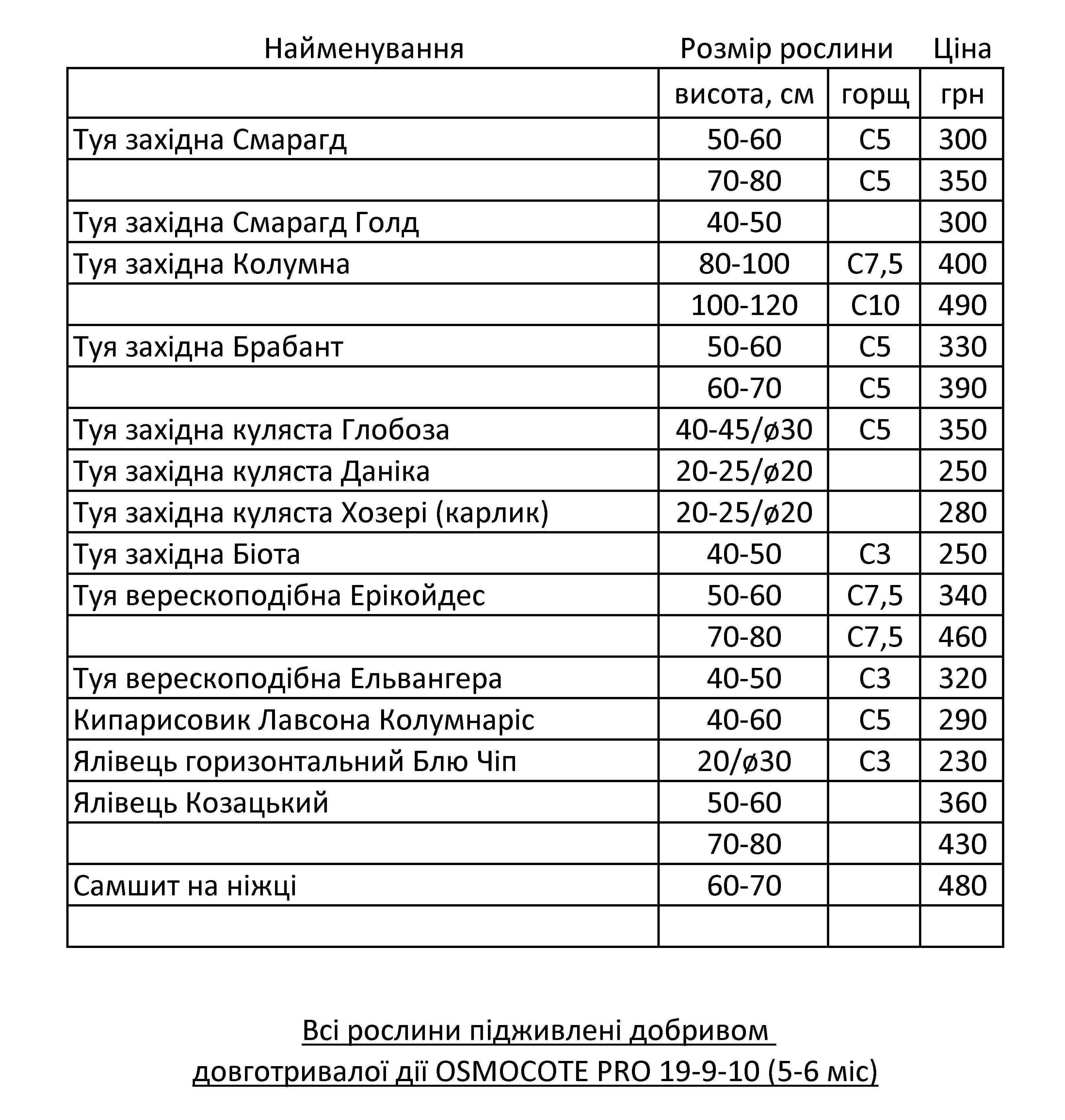 туя західна смарагд глобоза колумна ялівець можевельник