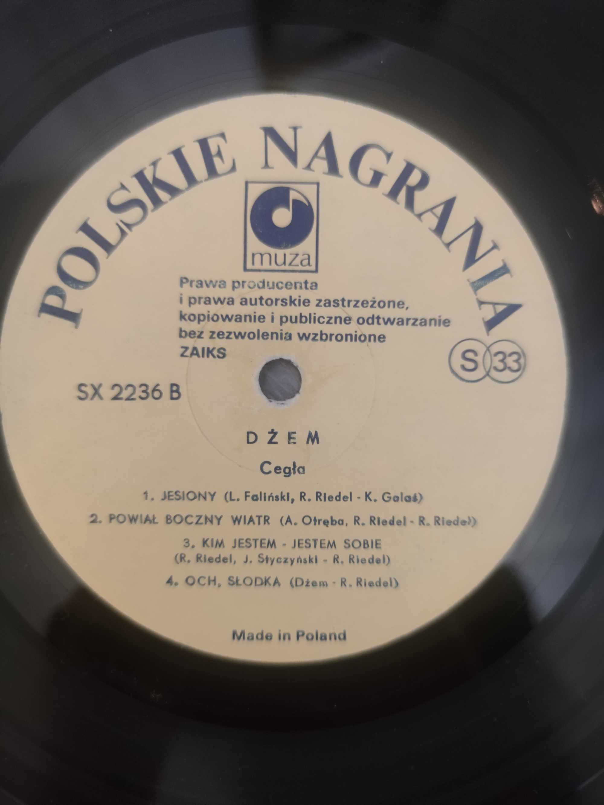 Dżem - Cegła. LP. EX