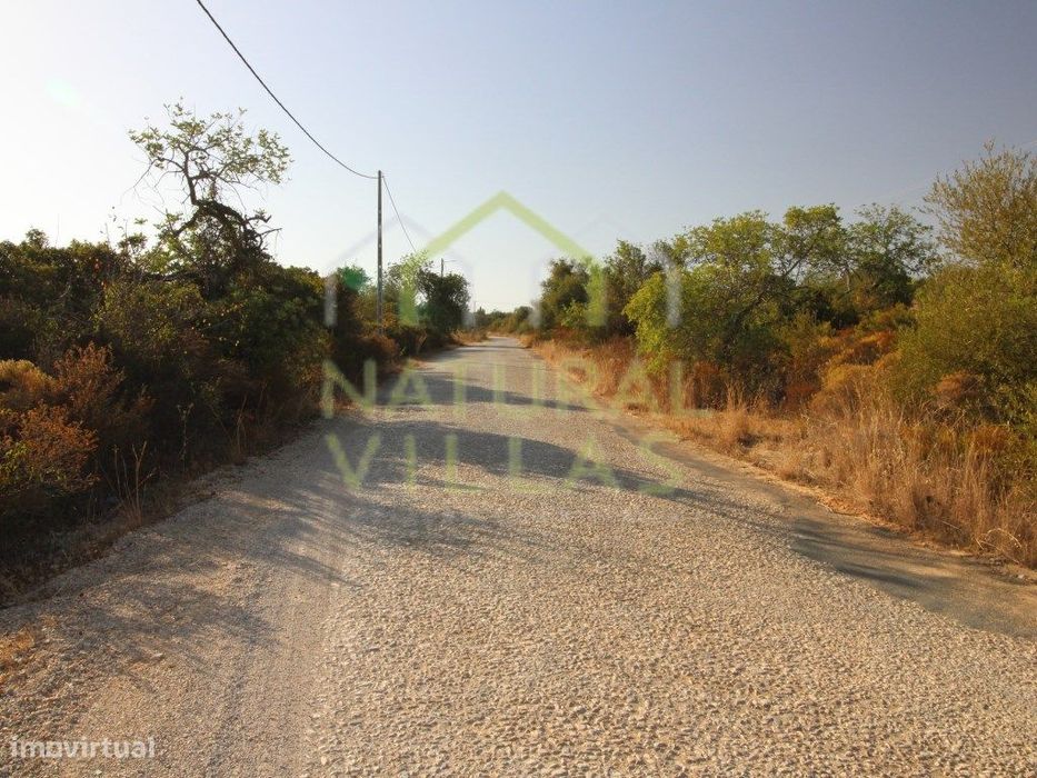 Terreno Plano com excelentes acessos, Estoi