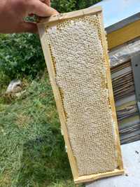 Продам стільниковим мед