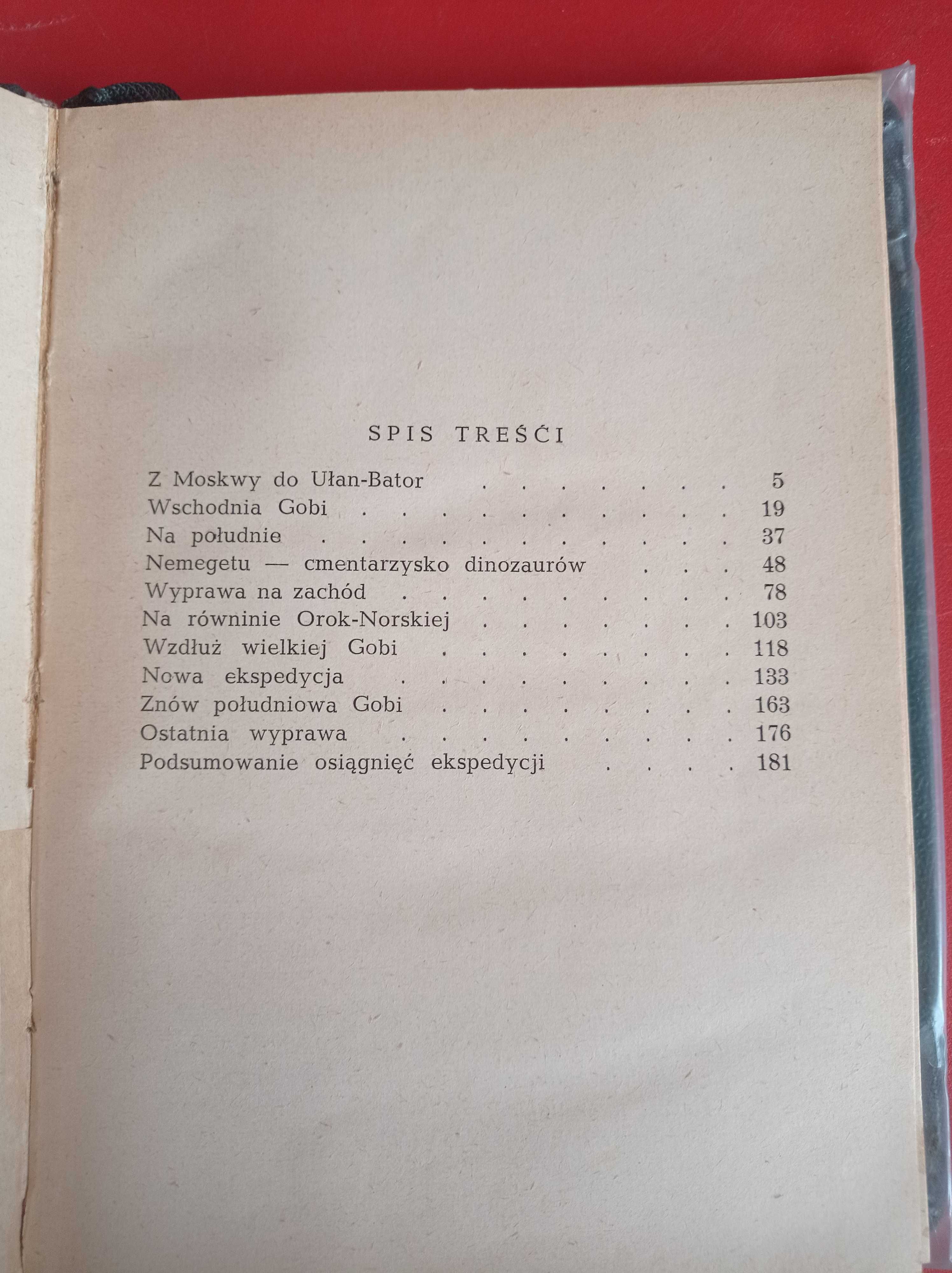 Śladami dinozaurów na pustyni Gobi, A. Rożdiestwienski