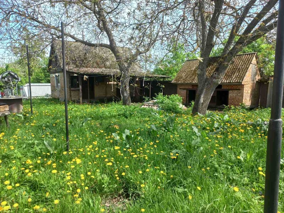 Продаж добротного будинку із земельною ділянкою в с. Шевченкове