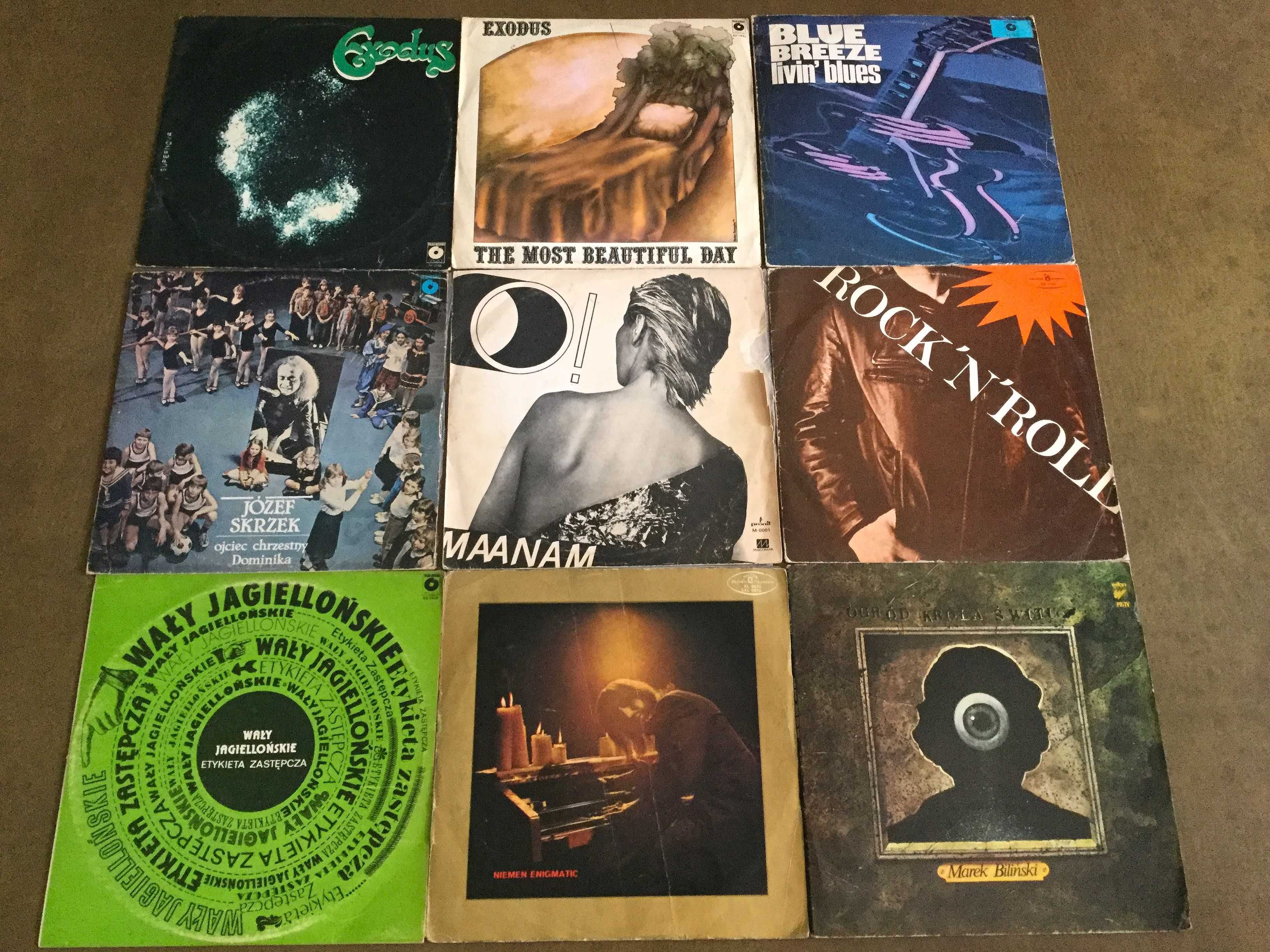 Maanam, Niemen, Biliński, Rock, Blue - Zestaw 9LP TANIO
