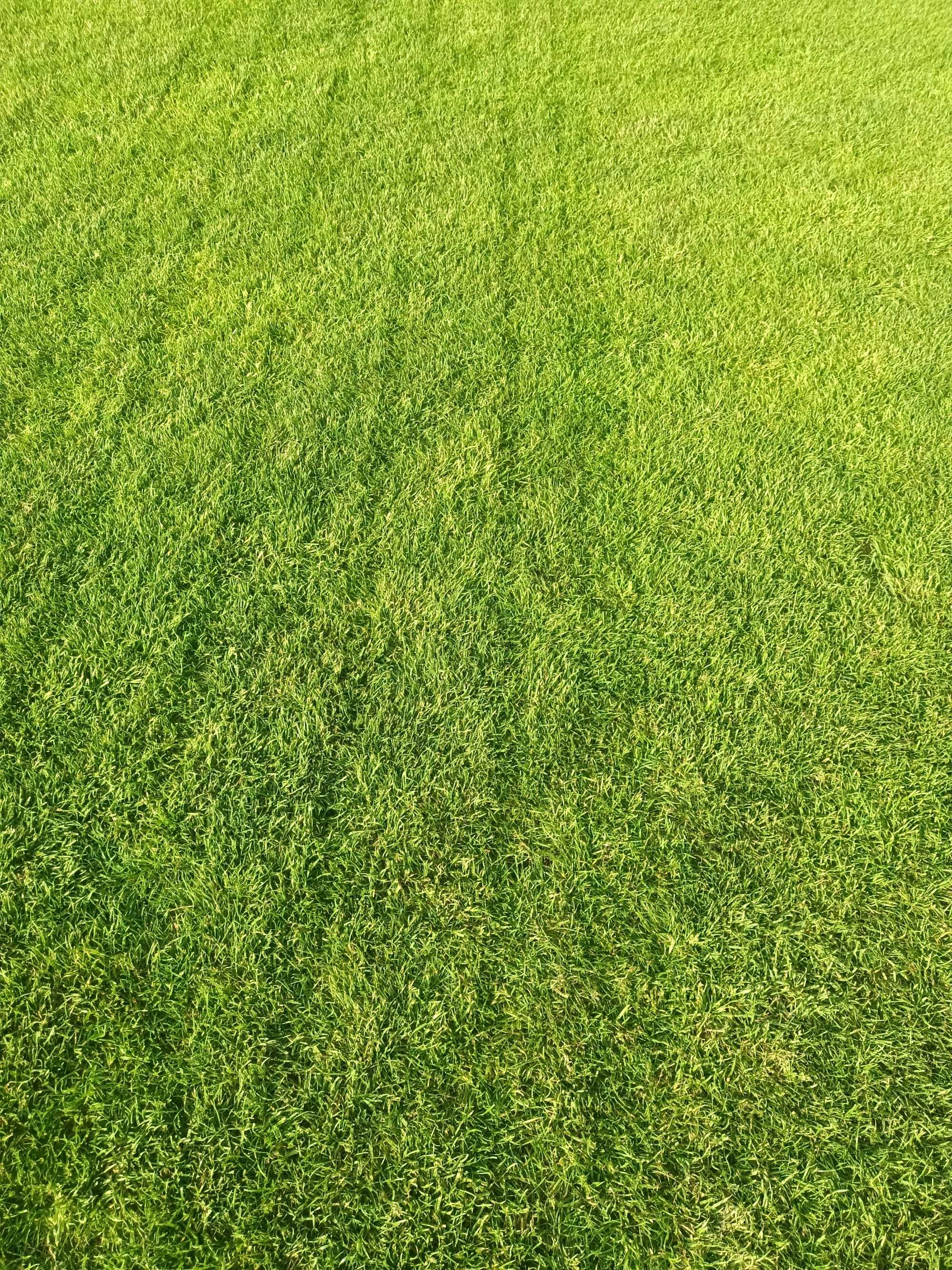 Położymy trawę z rolki  15,99zł/m2  - Producent trawy z rolki