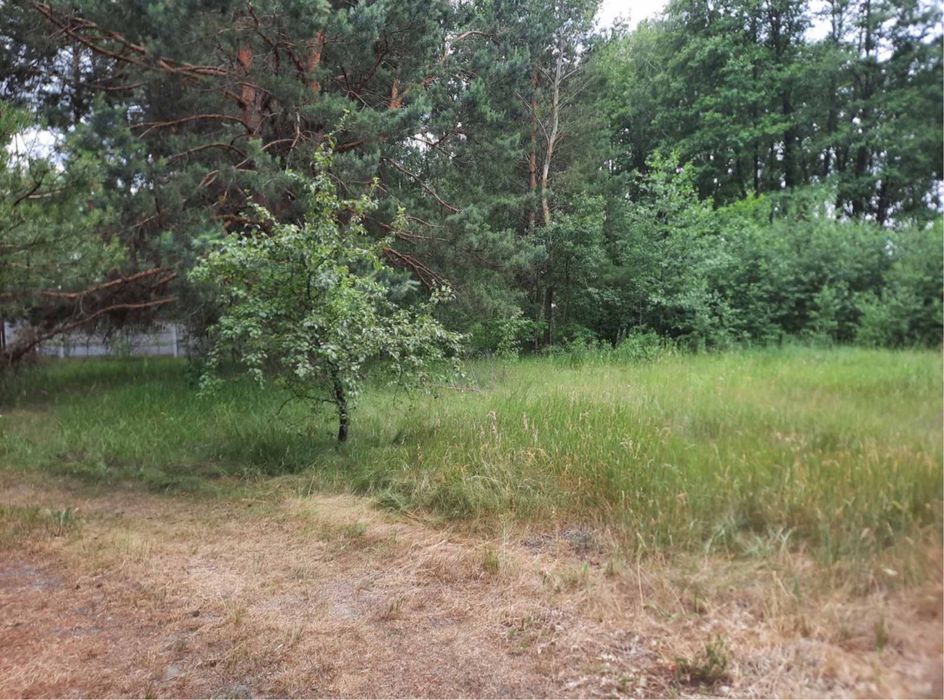 Продаж земельної ділянки в селі Нижча дубечня