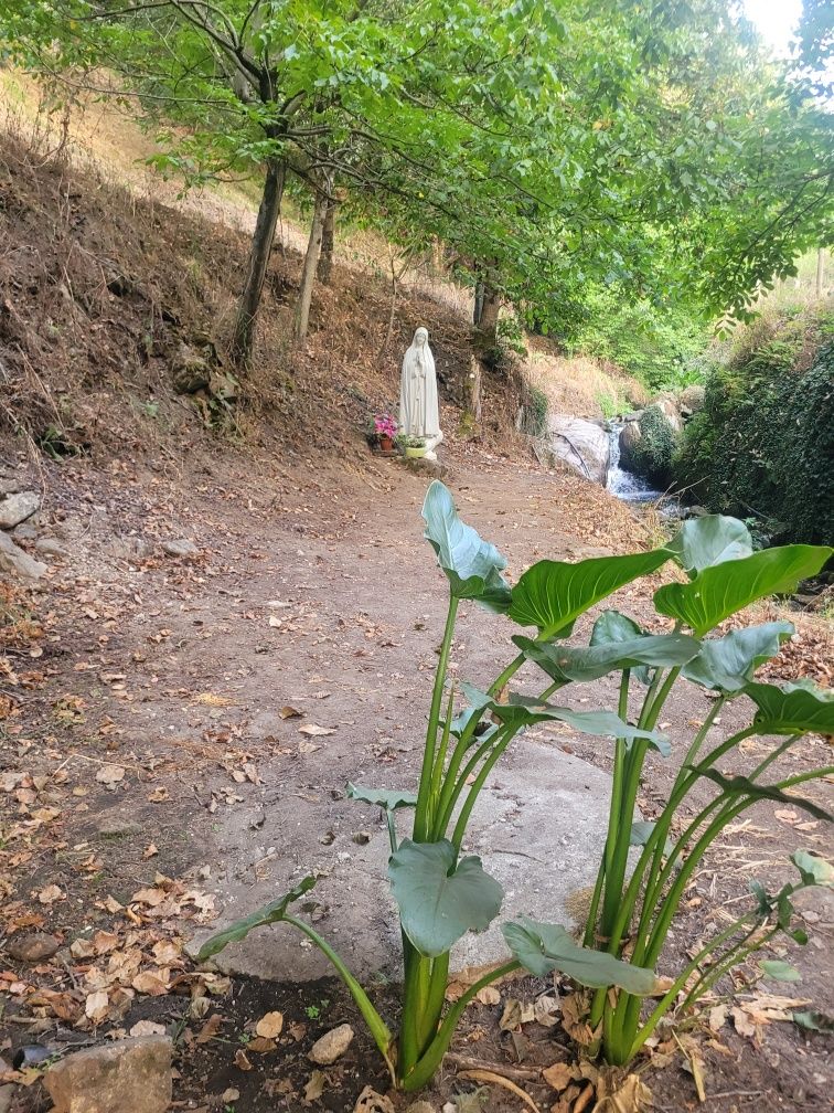 Quinta rustica para eventos