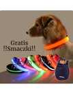 Super LED Obroża Dla Psa (Smaczki Gratis)