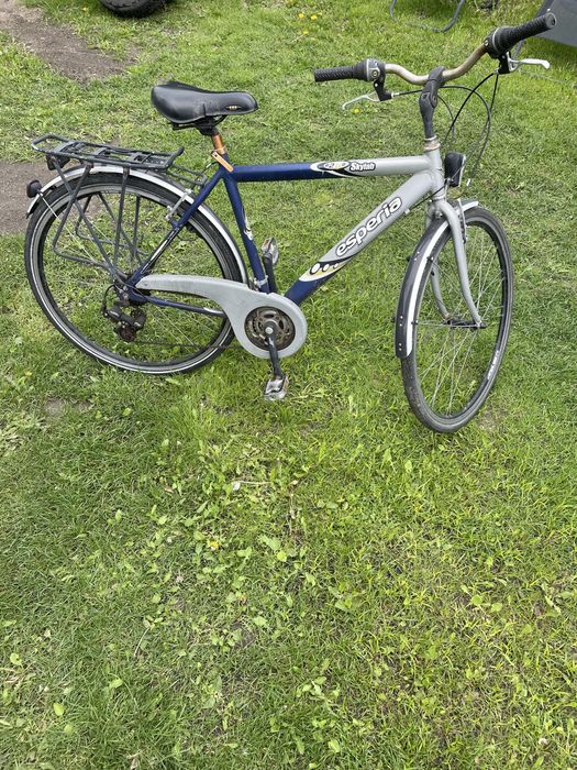 Rower męski miejski esperia