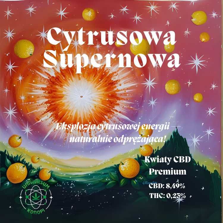 susz konopny CBD / Kwiaty CBD Premium – Cytrusowa Supernowa