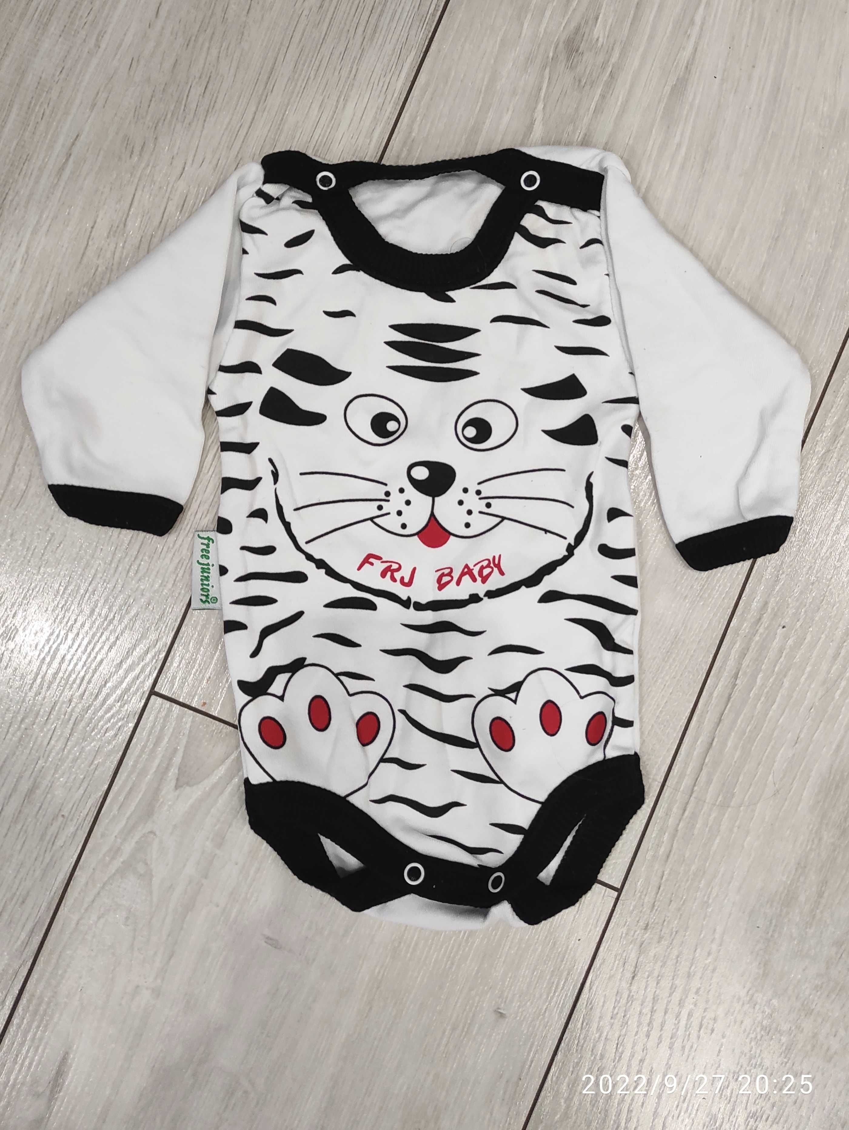 Nowe body 68 kot kotek