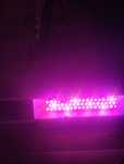 Lampa LED grow i 200w moc 400w