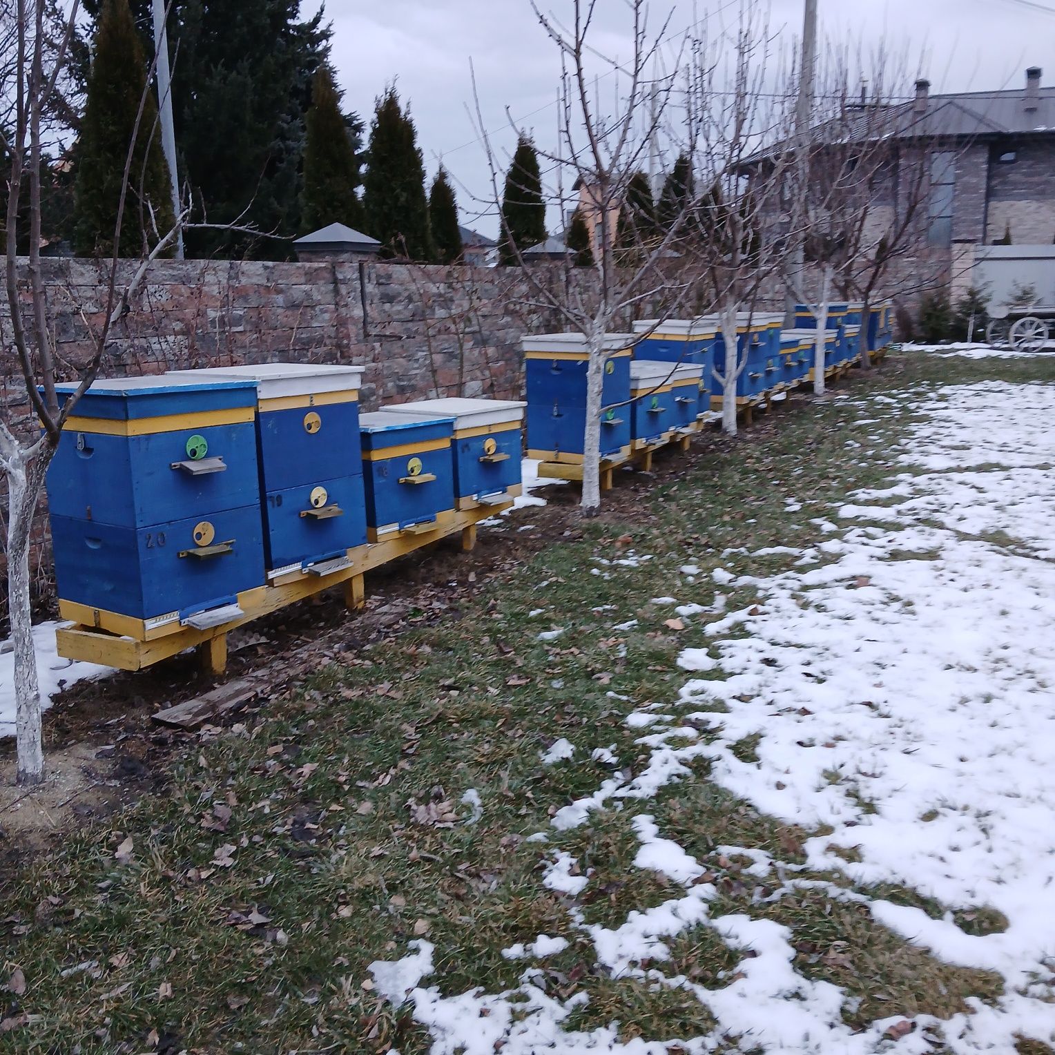 Продажа вуликів з бджолосімьями