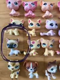 Lps figurka kot kotek firmy Hasbro