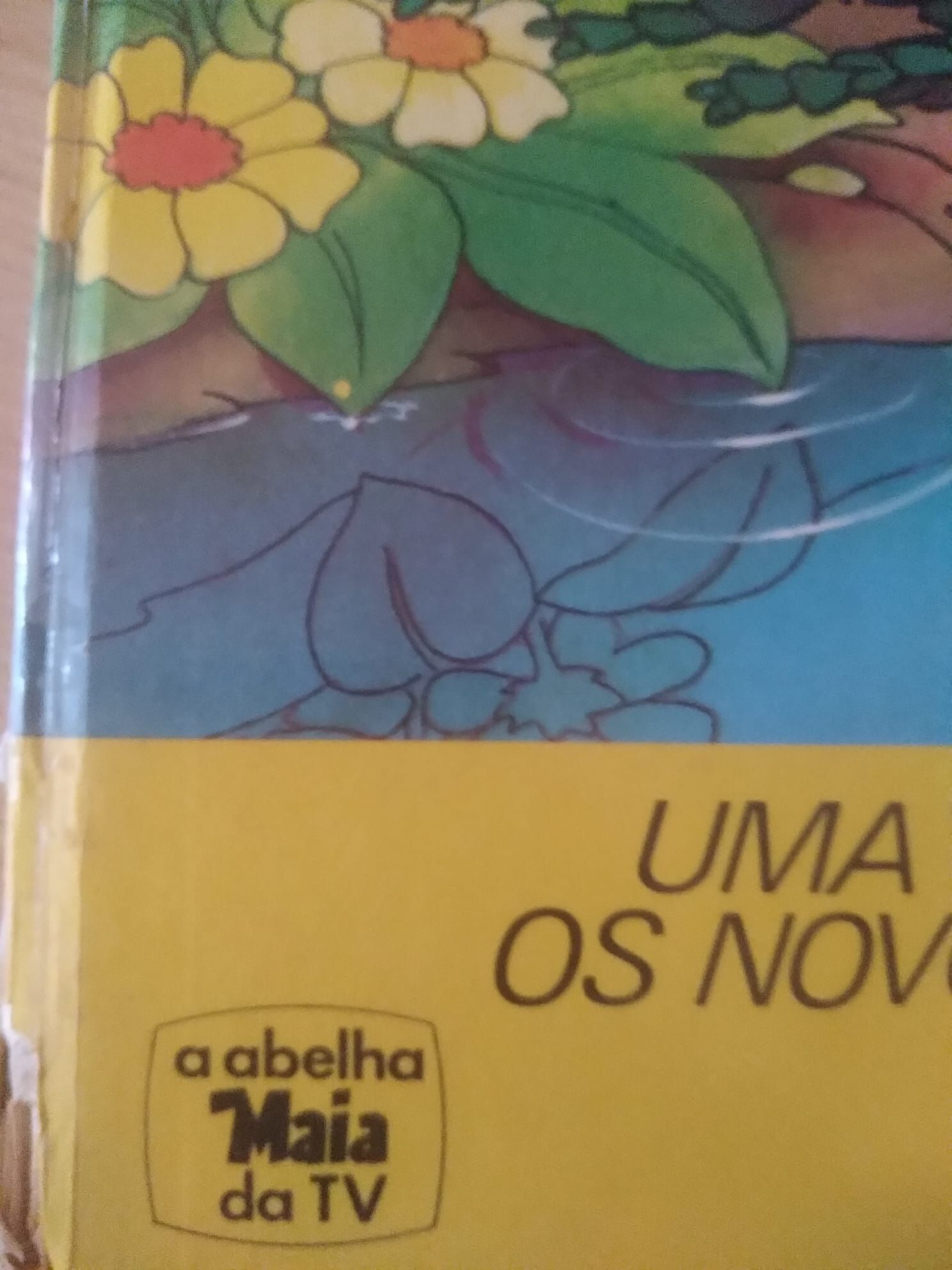 Edição especial do livro da abelha Maia de 1979