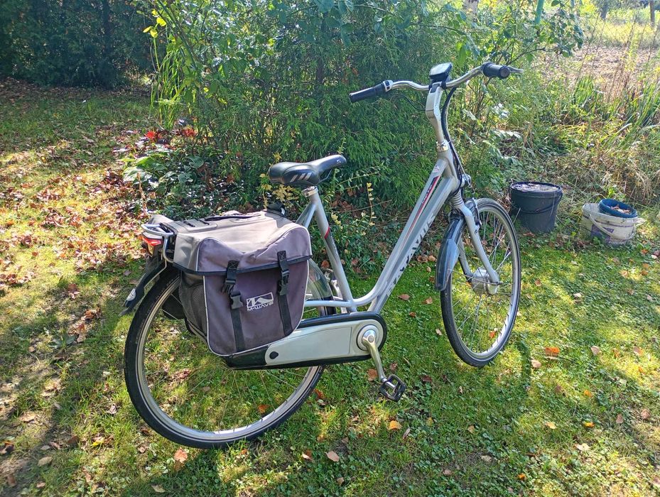 Rower elektryczny Batavus fuego e-go