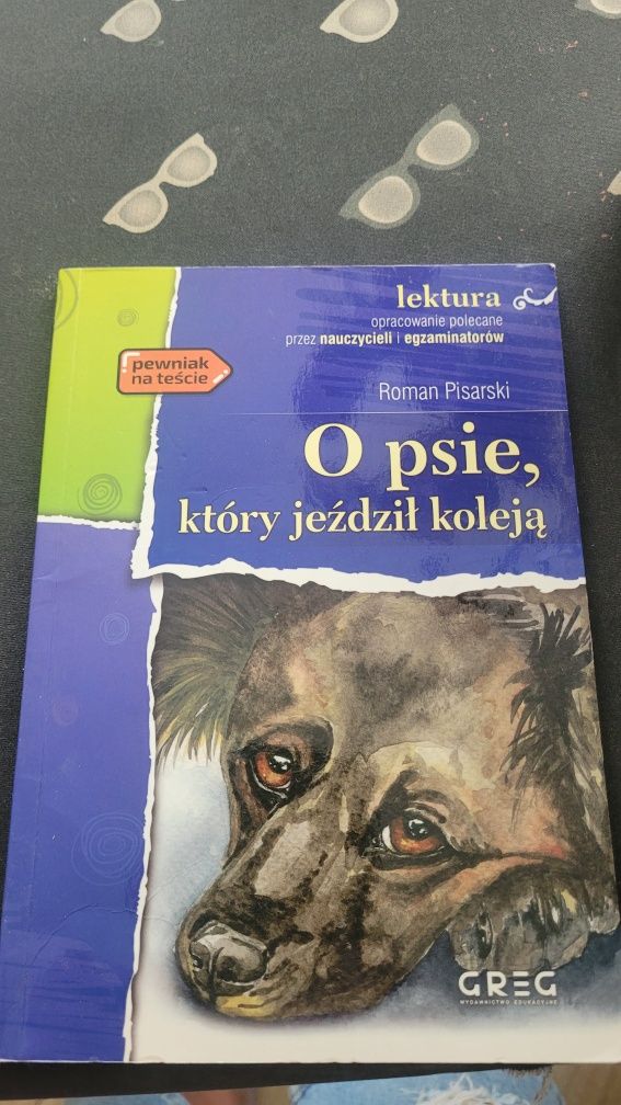 Lektura "O psie który jeździł koleją"