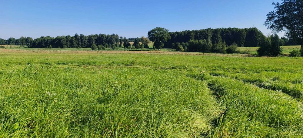 Działki budowlane Świeszyno – cisza, spokój, dojazd