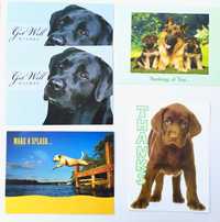 Из США! Открытки с собаками лабрадор овчарка немецкая postcards