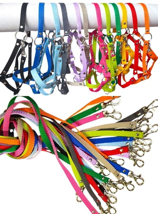 Kantar + wodze dla hobby horse A4 - taśma 10mm