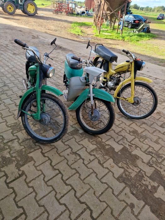 2xRomet komar jawa kaczka
