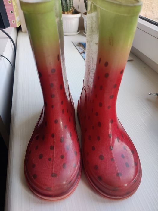 Чобітки гумові, взуття