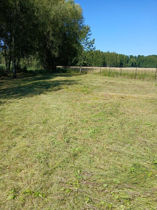 Koszenie traw, Wycinka drzew i krzewów, Sprzątanie podwórka