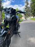 Мустанг фортуна 250