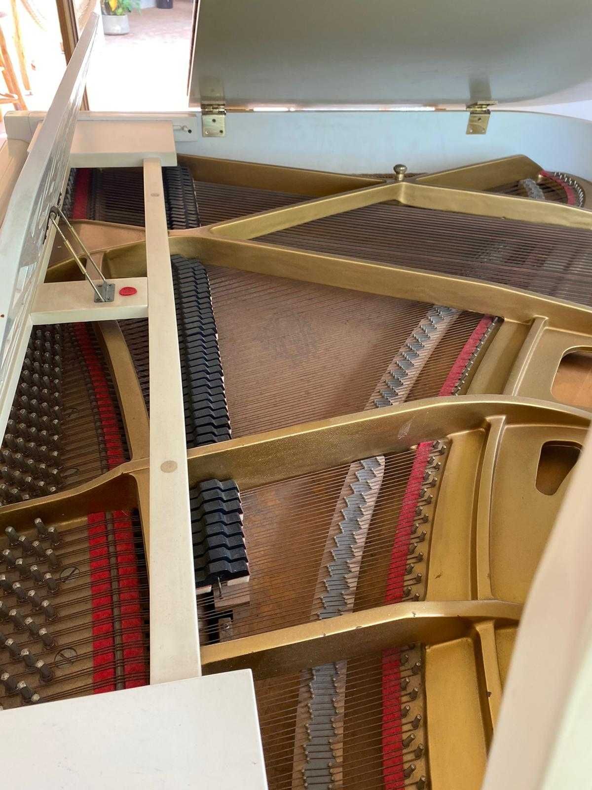 Piano de cauda Tokai em excelente estado - Cor creme