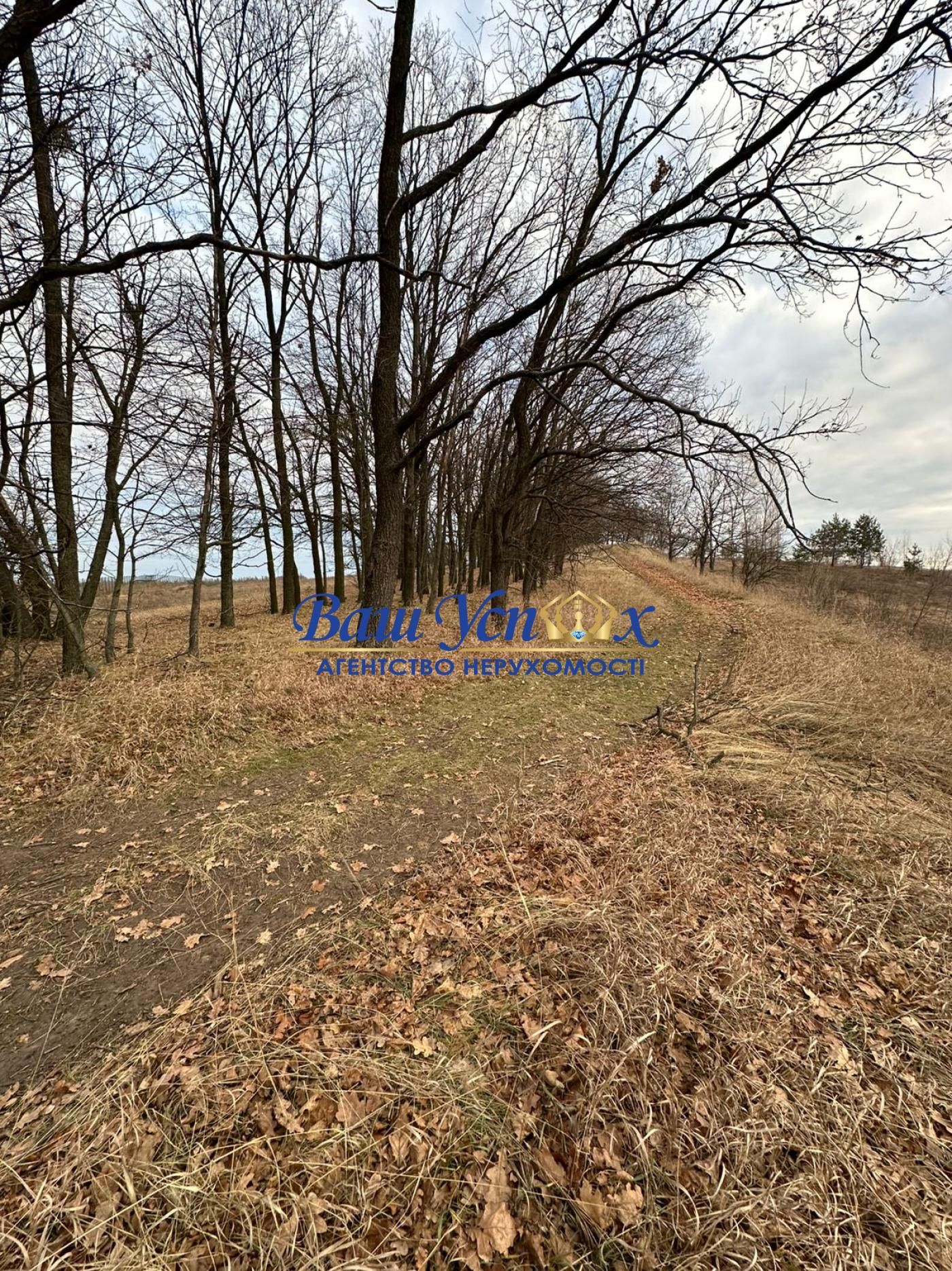 Продаж земли сільгосппризначення  Школьная , село Ходосовка