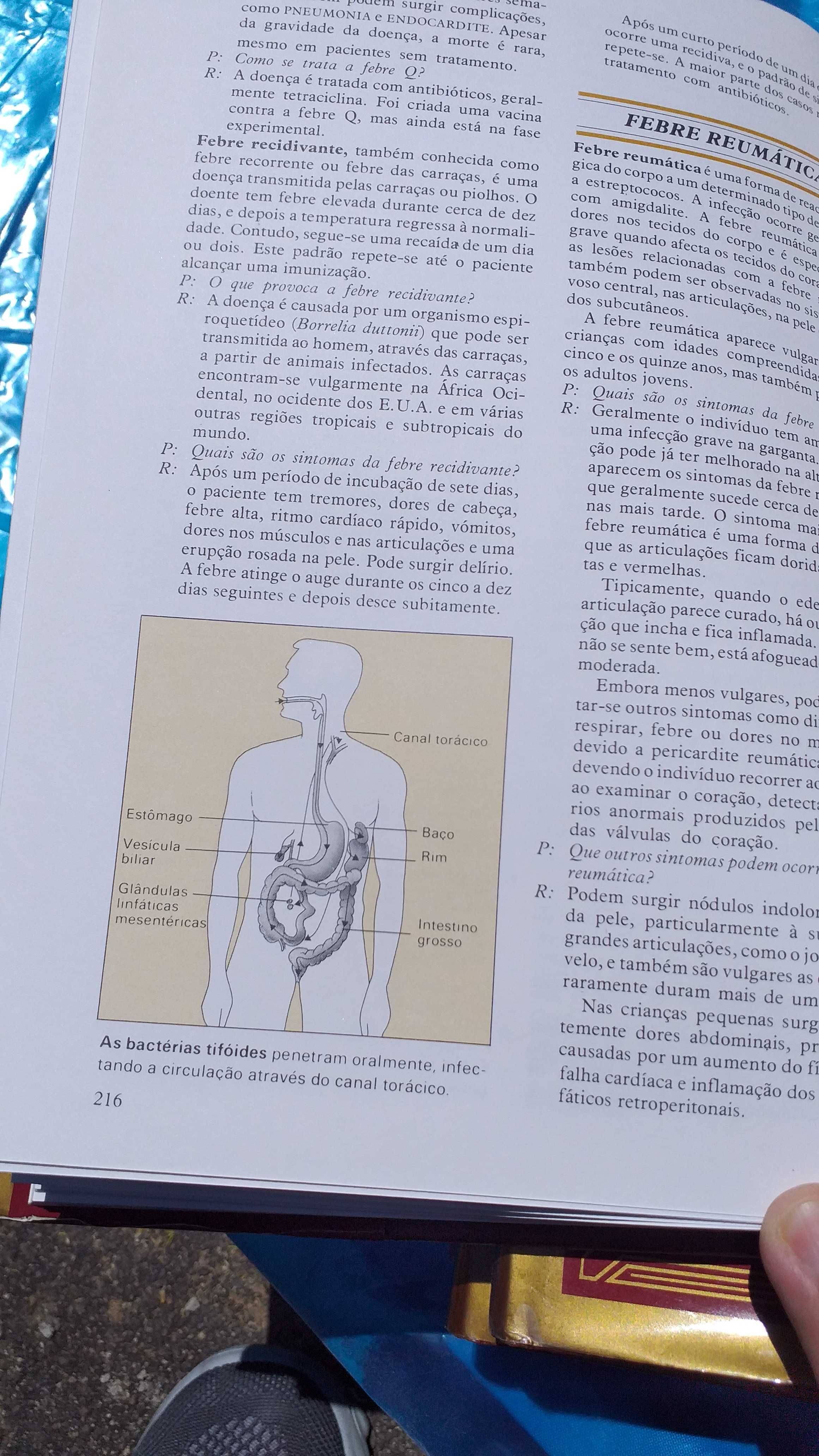 Livros Enciclopédia médica da familia