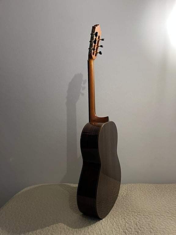 Guitarra Paco Castilho 205