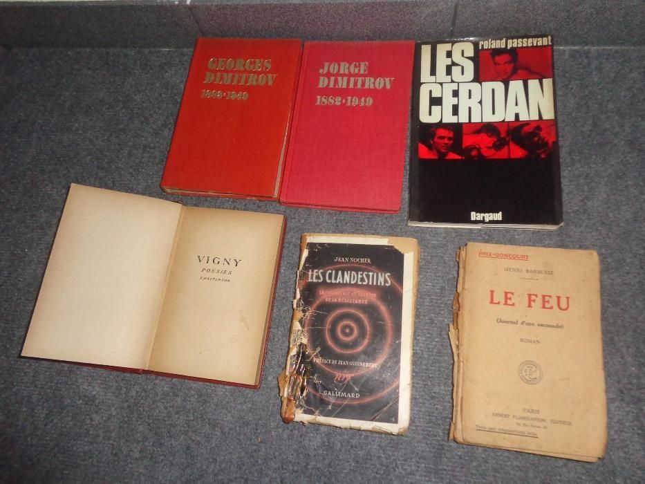 6 Livros Franceses de Biografias e Histórias