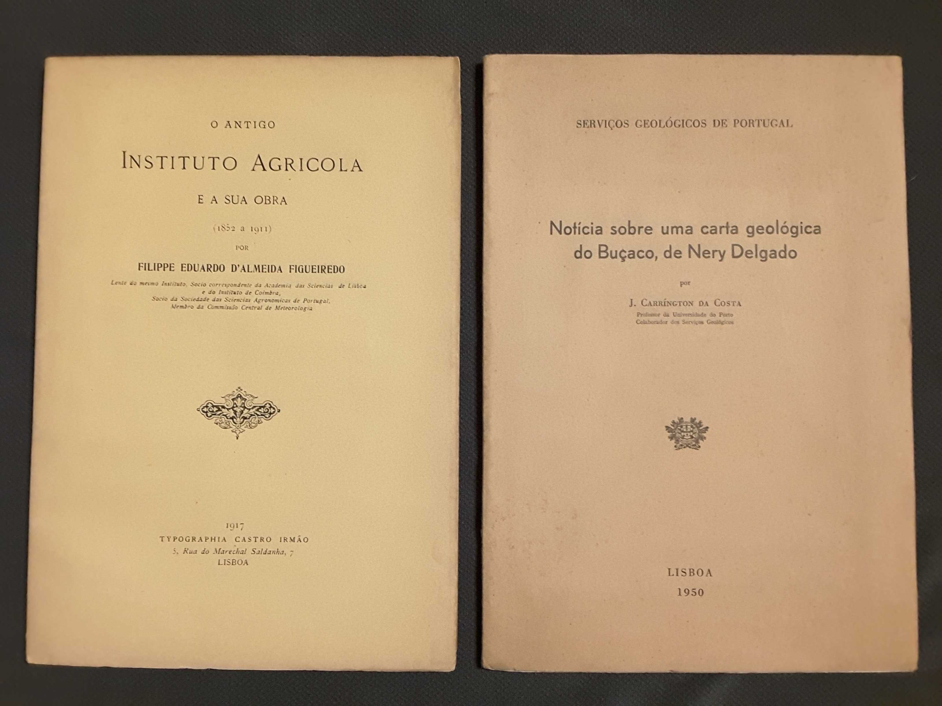 Ilha da Madeira / Sul de Angola/ O Instituto Agrícola / Buçaco