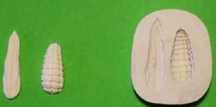 Moldes silicone  - Novos