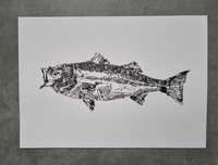 Ryba w grafice akwarystyka morska akwarystyczny obraz