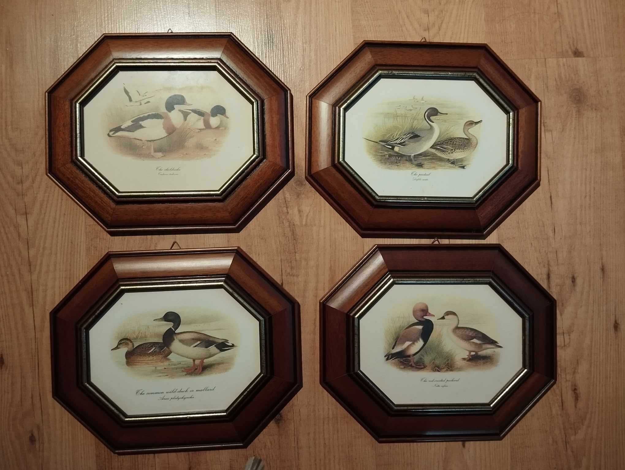 Vintage - quadros - tema patos