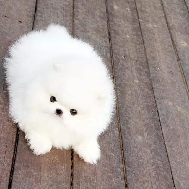 Є хлопчики і дівчатка здорові