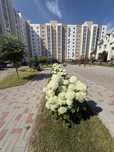 Продаж 1к квартири Чабани