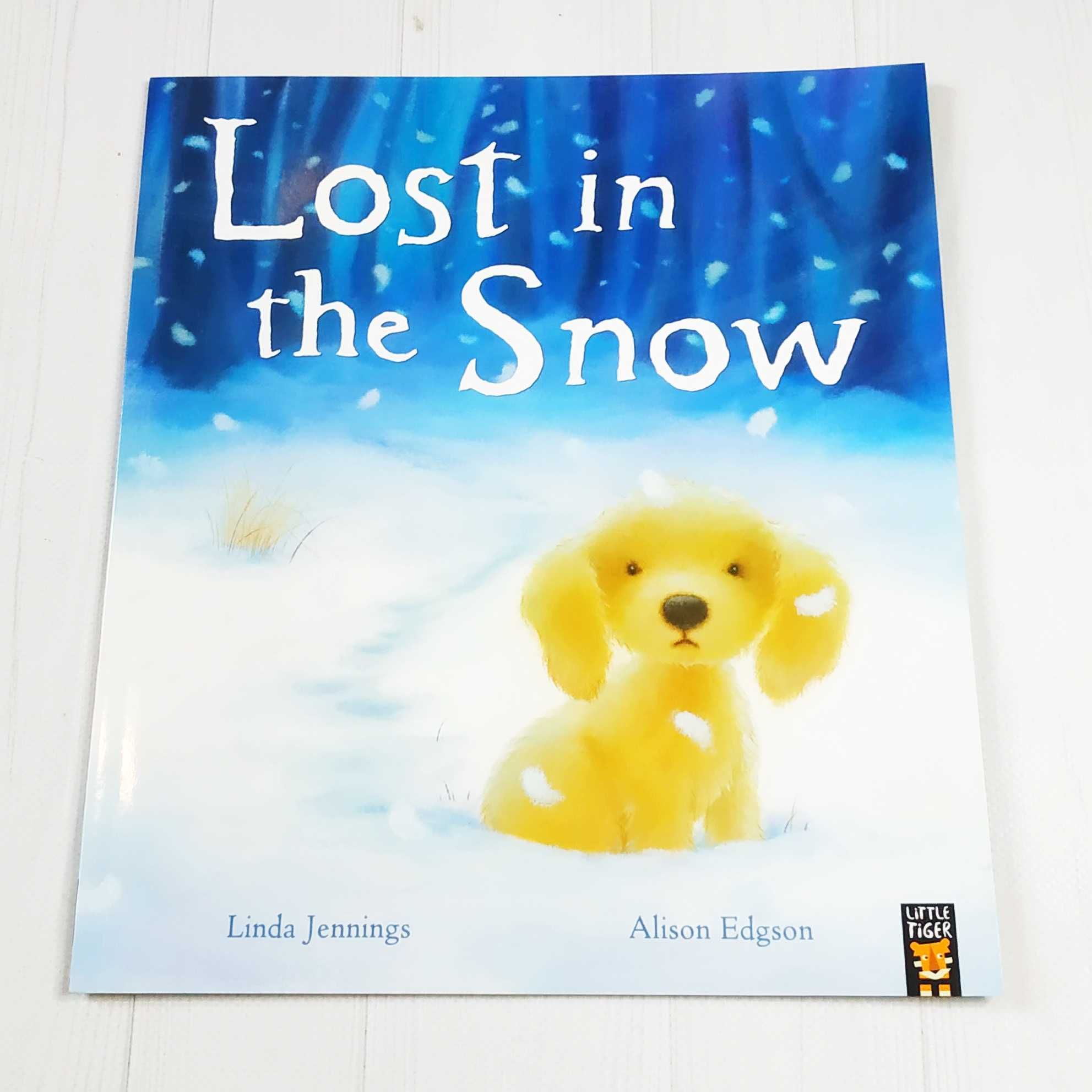 Детская книга на английском Lost in the Snow