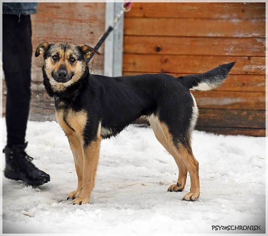 Mia za człowiekiem poszłaby w ogień