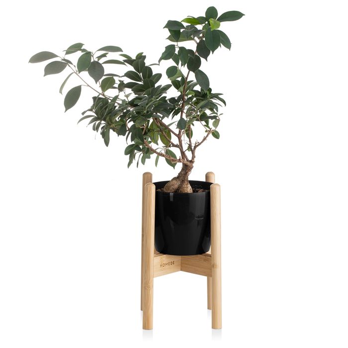 Bambusowy stojak pod doniczkę Homede – nowy, nieużywany