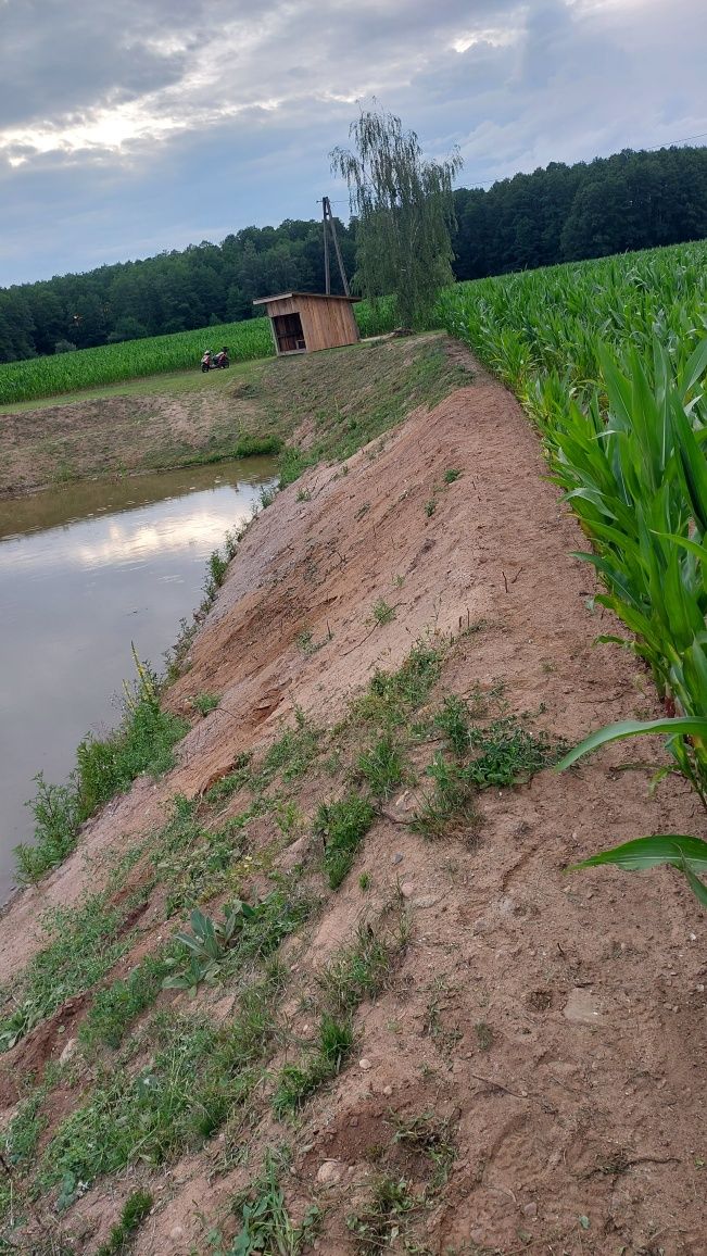 Oddam  w zamian  za wykonanie  i pogłębienie stawu