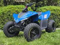 Квадроцикл дитячий Cf moto 110 EFI