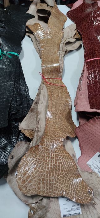 Шкіра Нильського крокодила Кожа натурального крокодила 600 грн