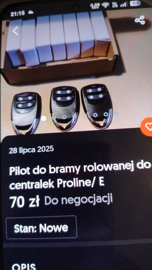Pilot do bramy rolowanej
