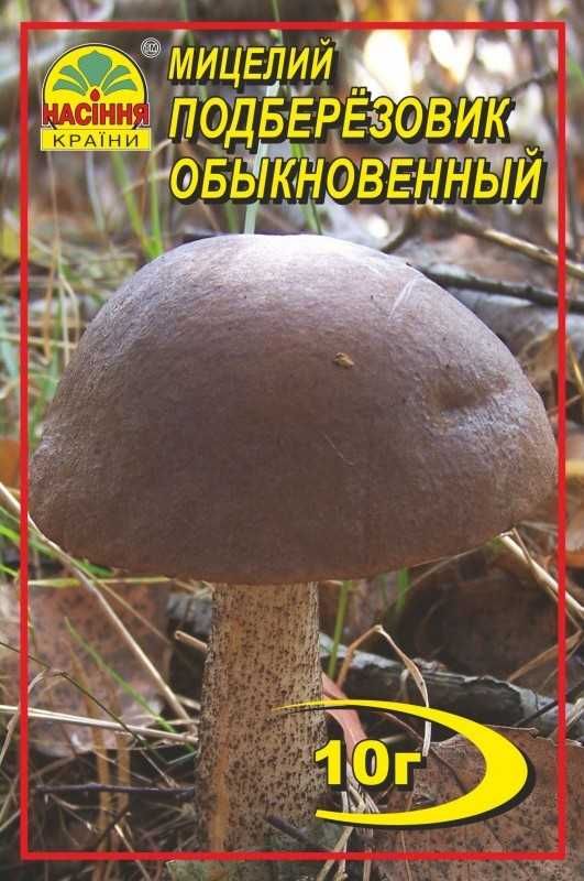 Мицелий грибов сухой