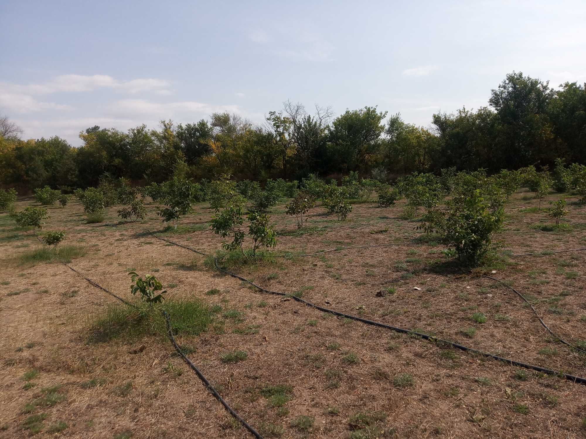 Продам бізнес під ключ, ферма для домашнього бізнесу