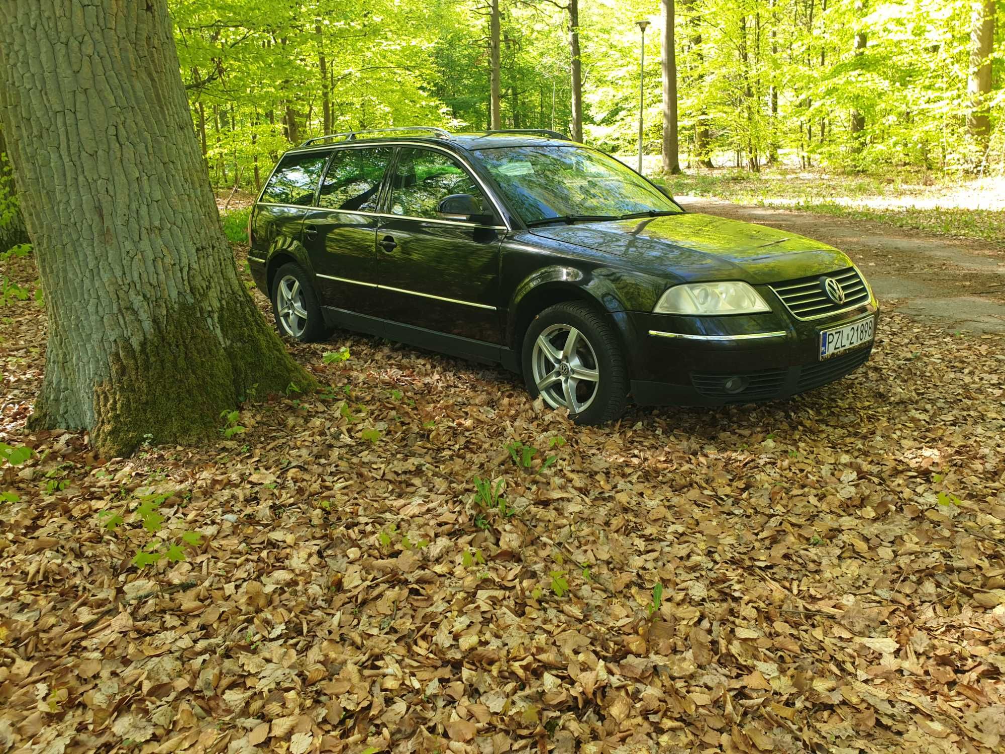 PASSAT B5 1.9 TDI. Exclusiwe.