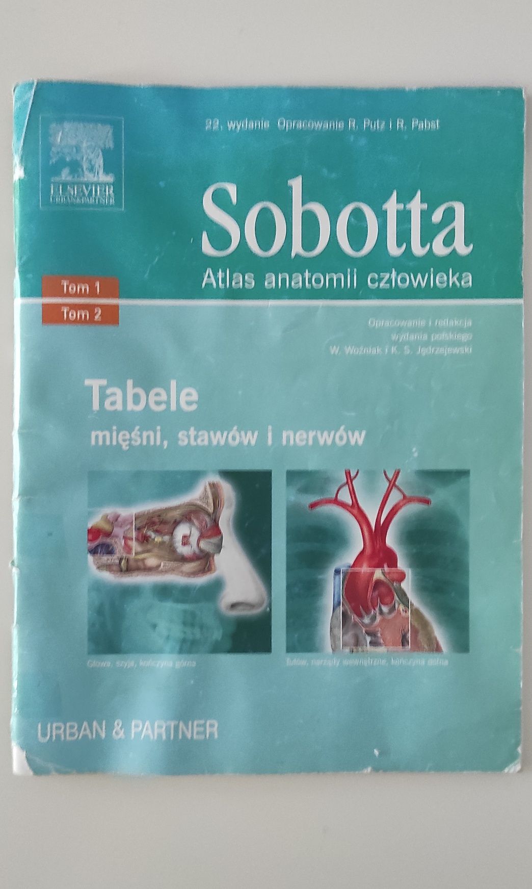 Sobotta Atlas anatomii człowieka tabele mięśni