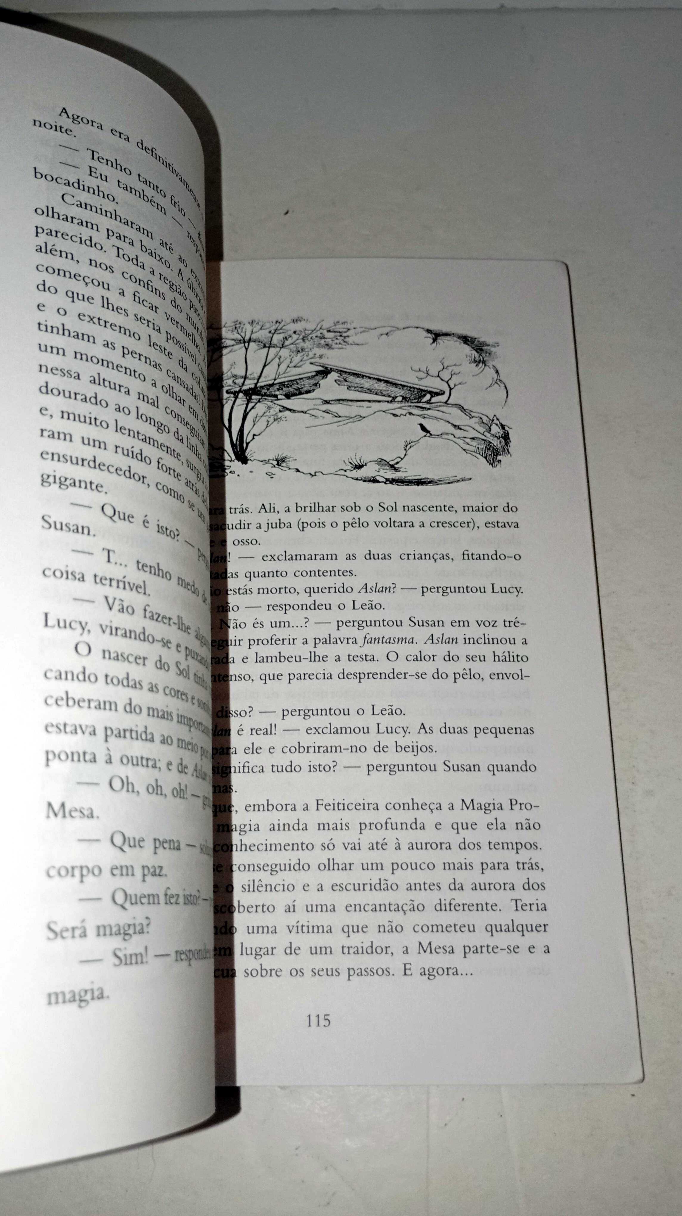 Narnia- O Leão, a Feiticeira e o Guarda-roupa
